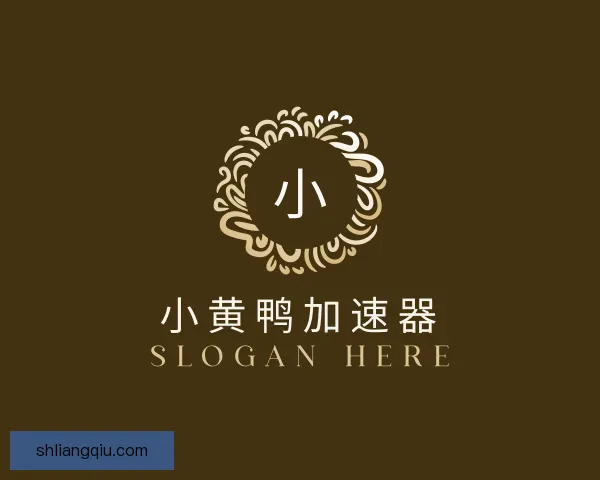 认识小黄鸭加速器官方正版